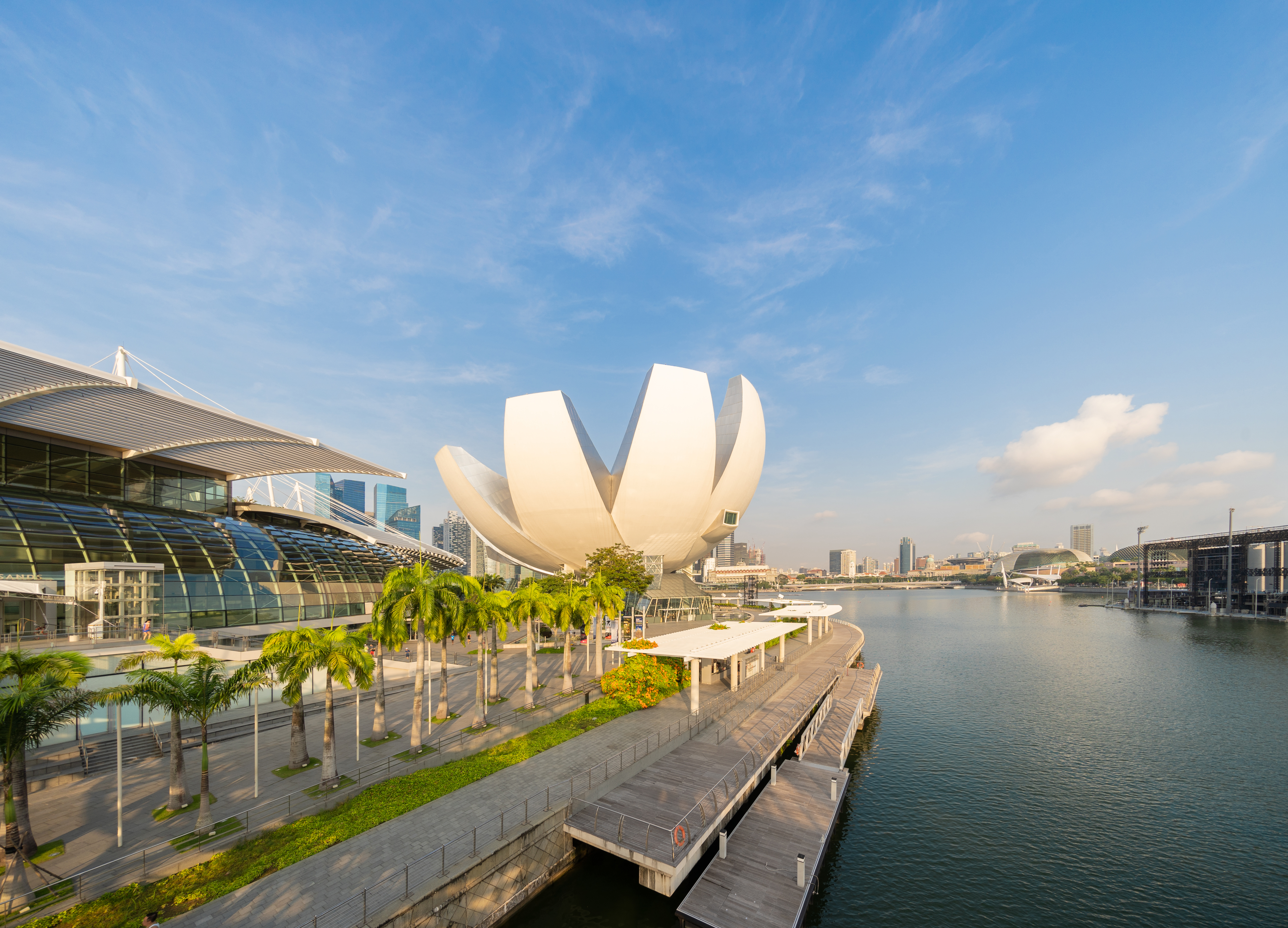 Singapore trade